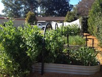 Nabiac Community Garden