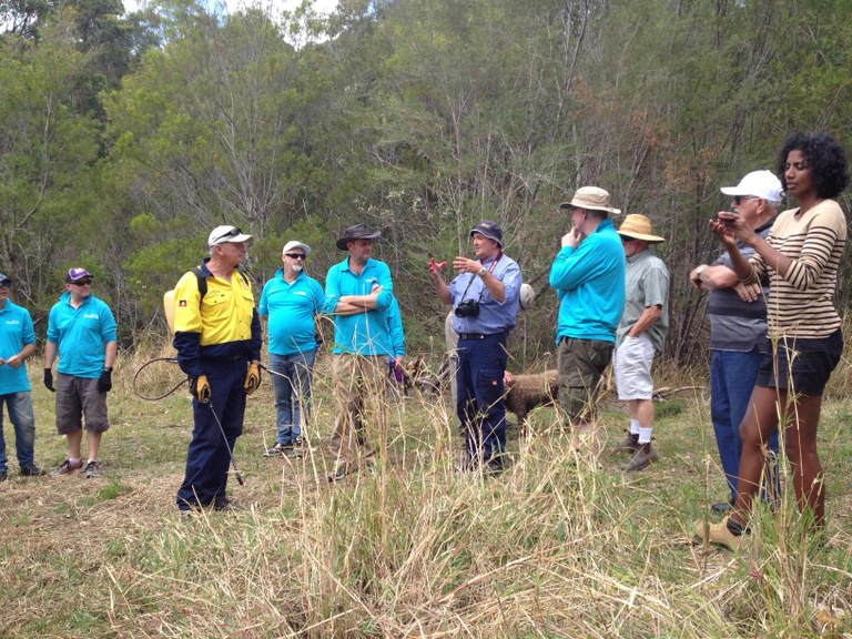 Riparian Regeneration and Privet Control