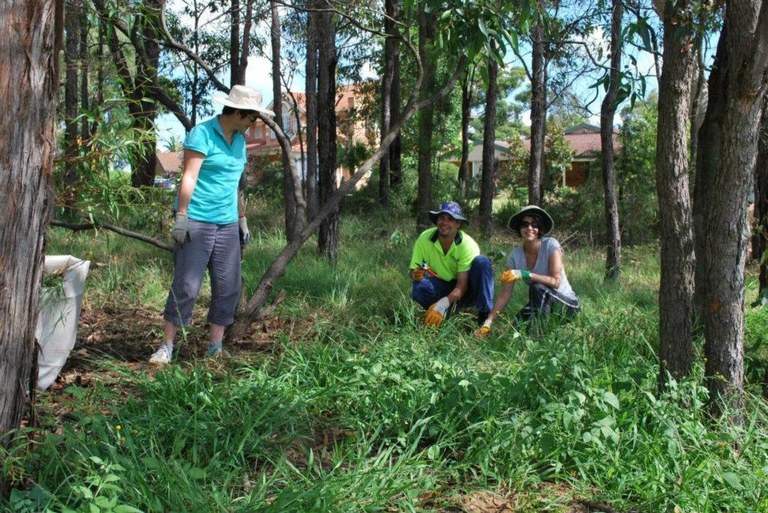 Knightsbridge Bushcare Group.jpg