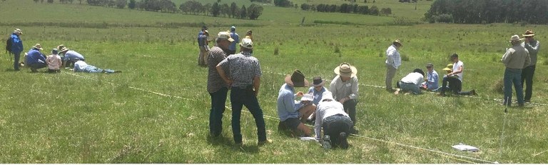 Holistic Grazing and Ecological Monitoring Courses in Braidwood