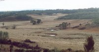 K2C Feb Mini Forum: Wetland values and biodiversity