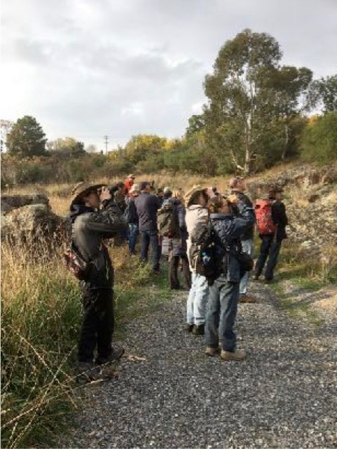 Birding at Yass Gorge, 14 May