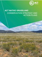 Release of 2017 ACT Native Grassland Strategy and Action Plans