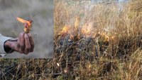 Traditional burning for the 21st Century: Aboriginal cool burning workshops for land managers
