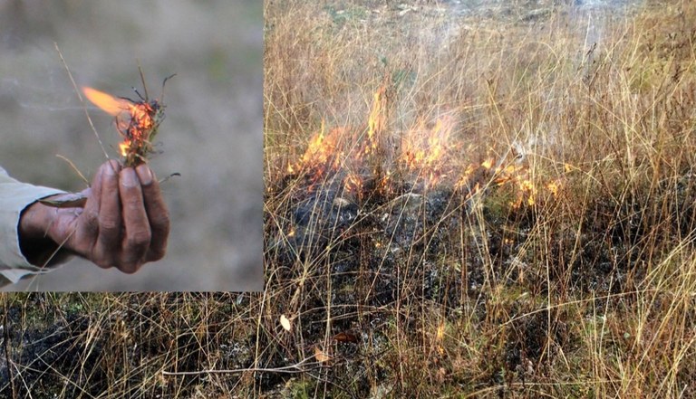 Traditional burning for the 21st Century: Aboriginal cool burning workshops for land managers