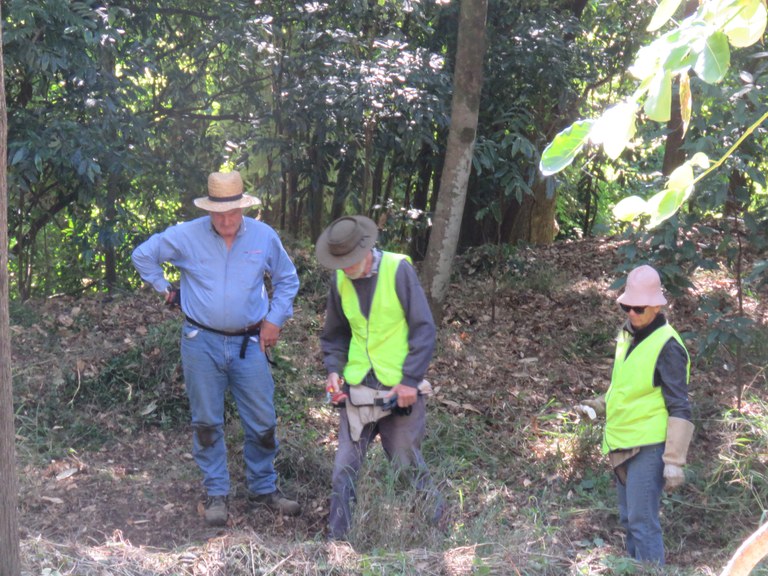 Fawcett's Creek Working Bee