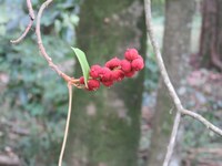 February Newsletter
