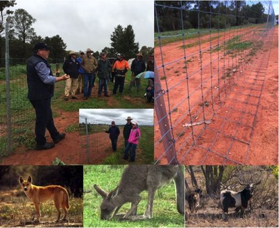 Gilgunnia Pest Exclusion Cluster — NSW Landcare Gateway