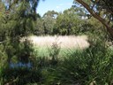 Lake Malabar