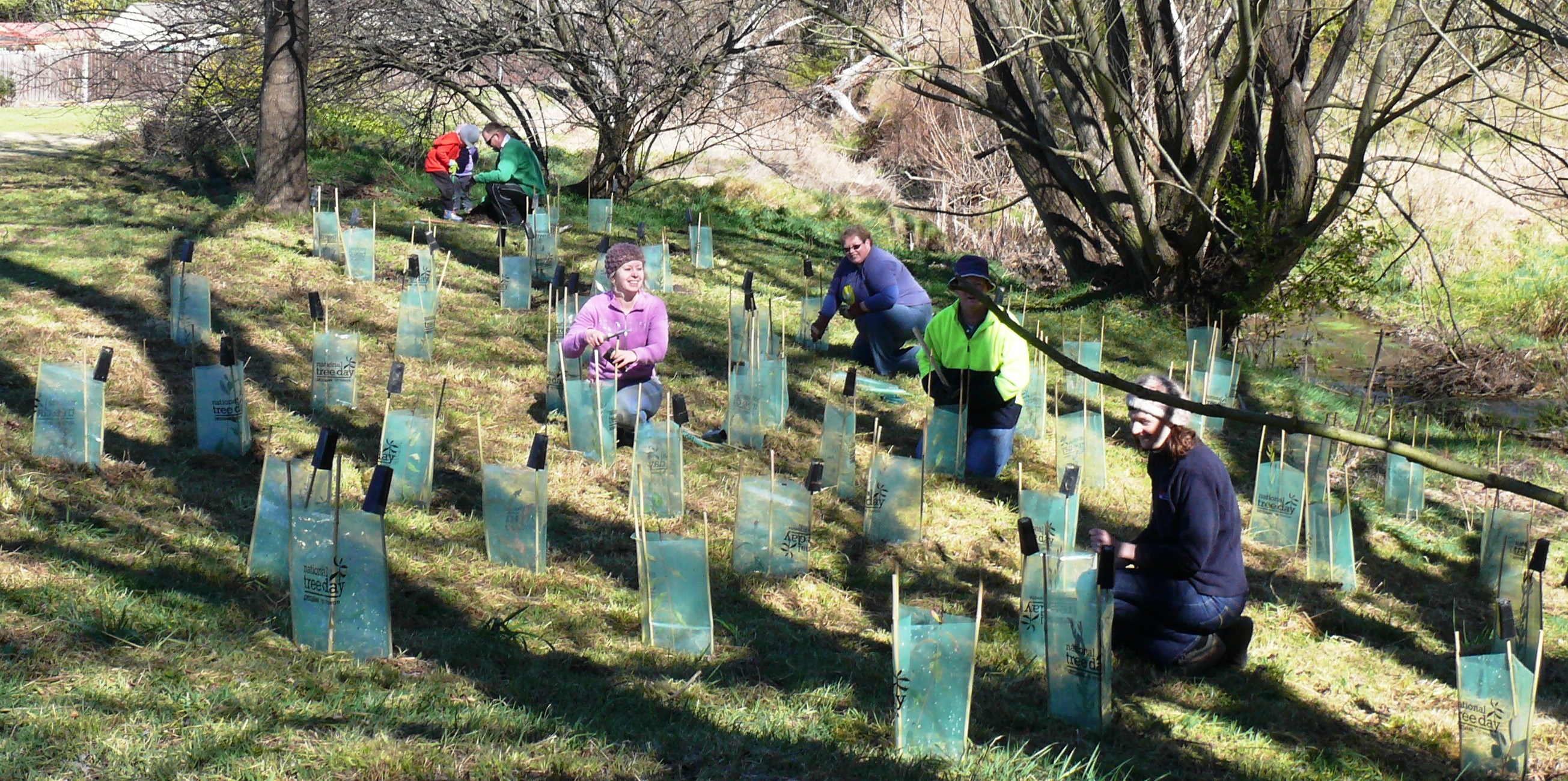 Planting along Statemine Gully for National Tree Day