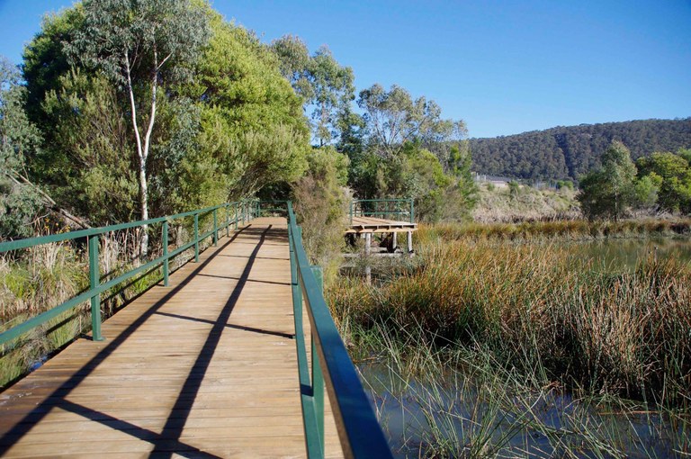 Lake Pilans Boardwalk.jpg