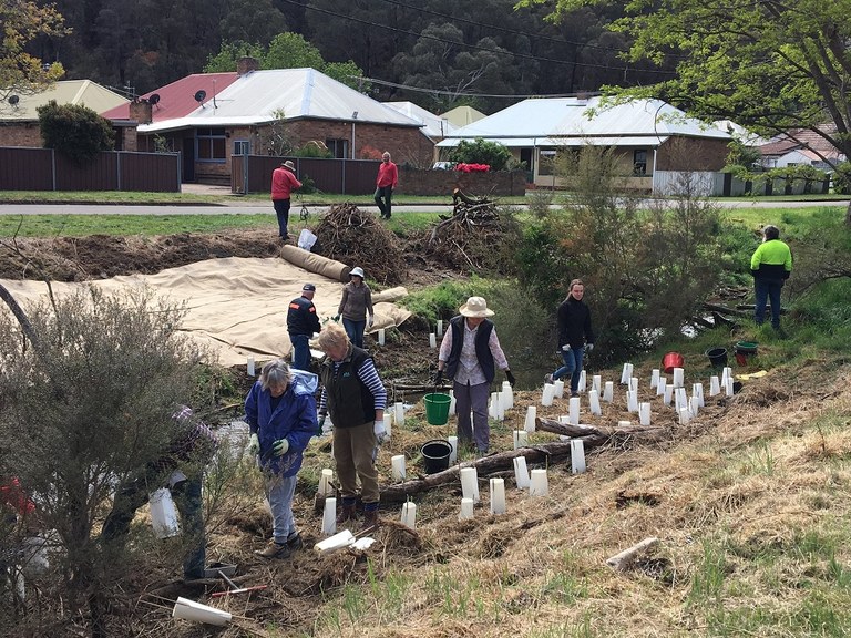 Creek Protection, Planting and Pizza