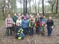 Swamped by Threats - Browns Swamp Himalayan Honeysuckle Eradication Day