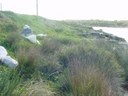 Long bay Foreshore