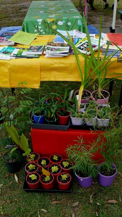 Maclean Landcare Stall