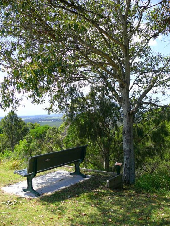 Red Ash at the Maclean Lookout