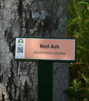 Plant ID signs at the Maclean Lookout