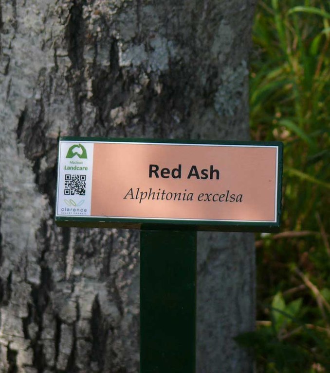 Plant ID signs at the Maclean Lookout