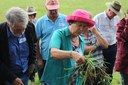 Checking root depth with Dr Christine Jones