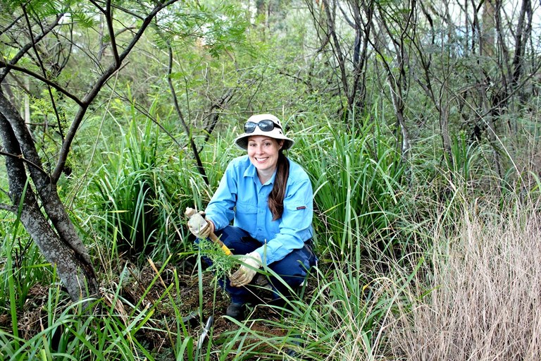 McCoy Park Bushcare 1.JPG