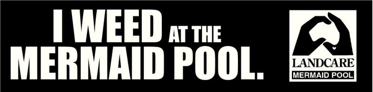 Mermaid Pool Bumper Sticker.JPG