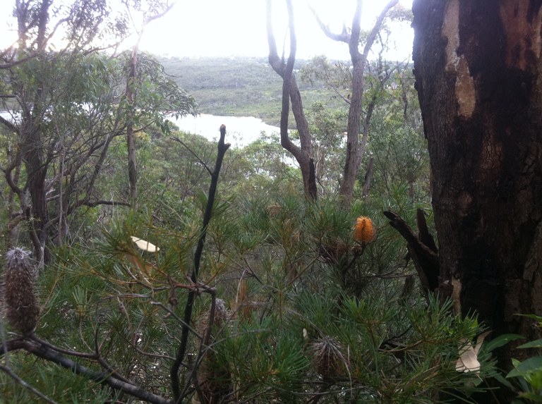 Manly Dam