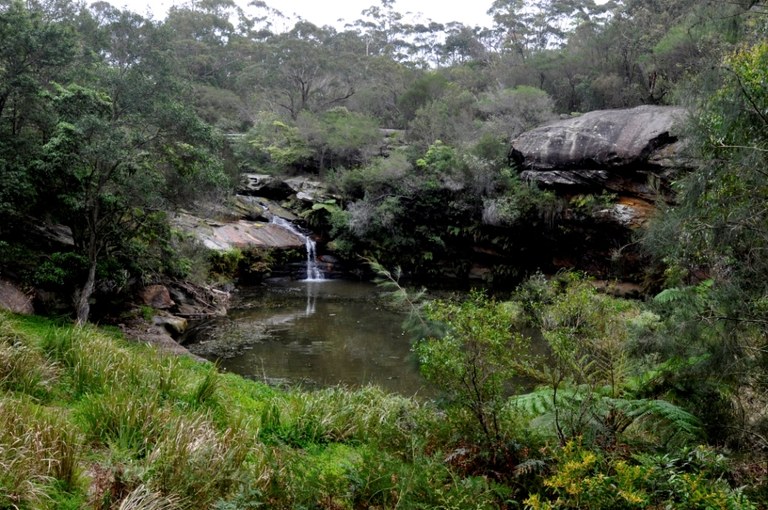 Mermaid Pool