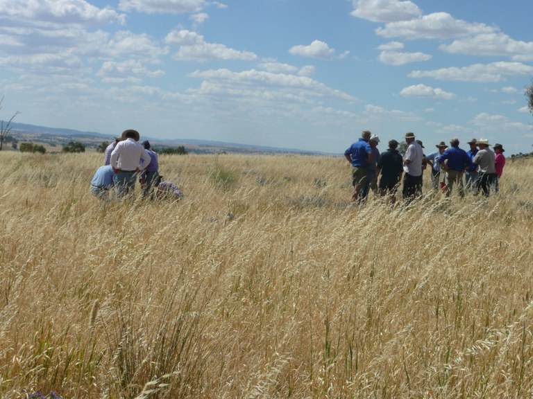 Closed Season Field Day