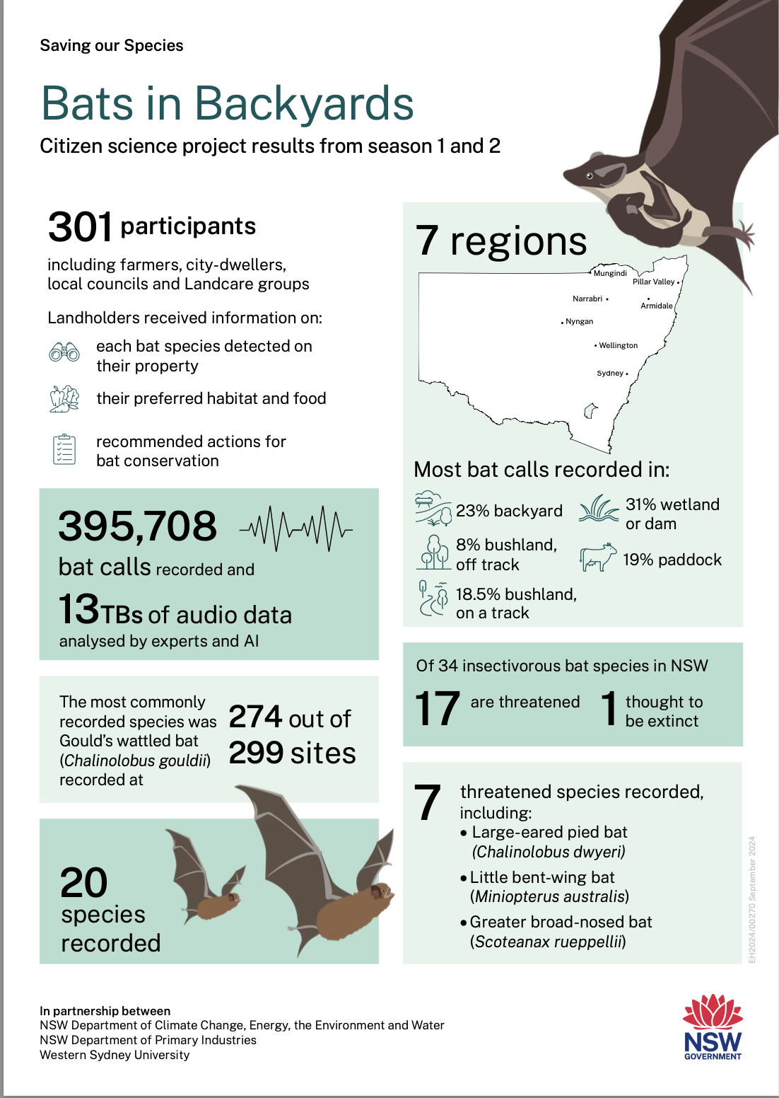 Bats in Backyards infographic 2024_accessible.png