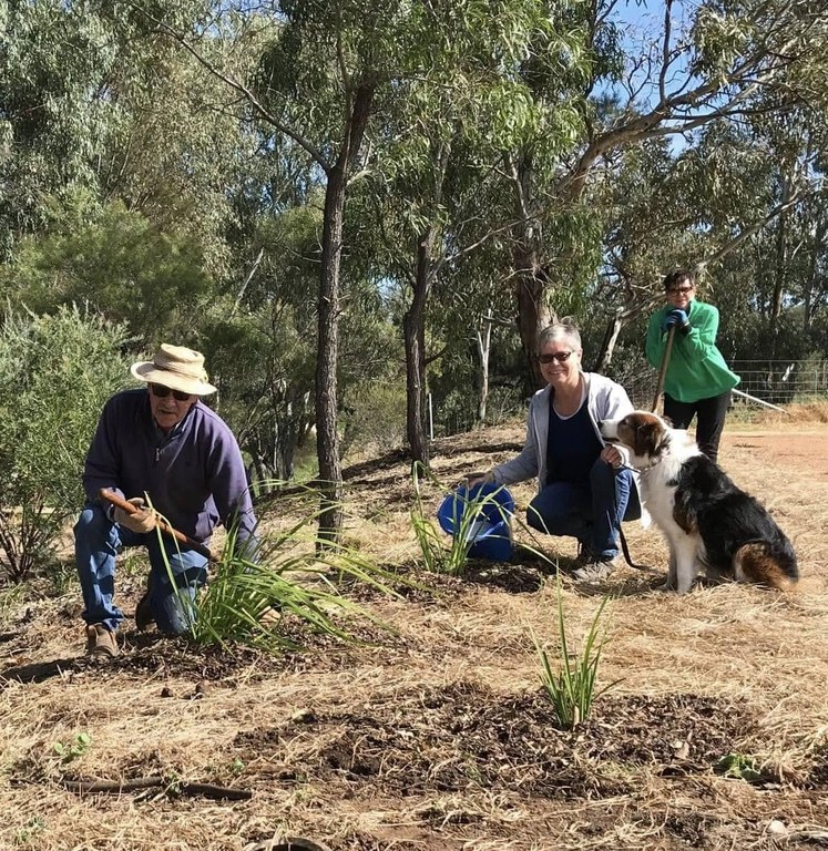 Dubbo Rivercare Abergeldie Corporate Volunteering Event Dubbo Rivercare Abergeldie Corporate Volunteering Event
