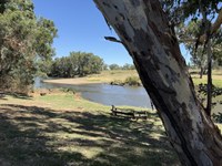 Dubbo/Wellington Urban Rivercare Project
