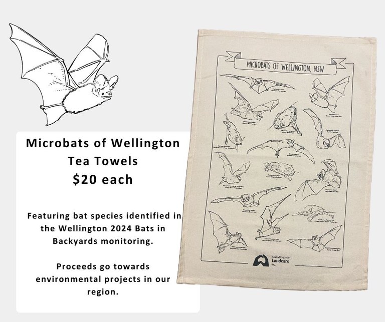 FOR SALE: Microbats of Wellington Tea Towels