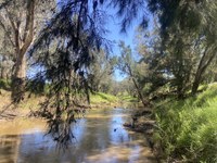 Local Water Quality Sampling