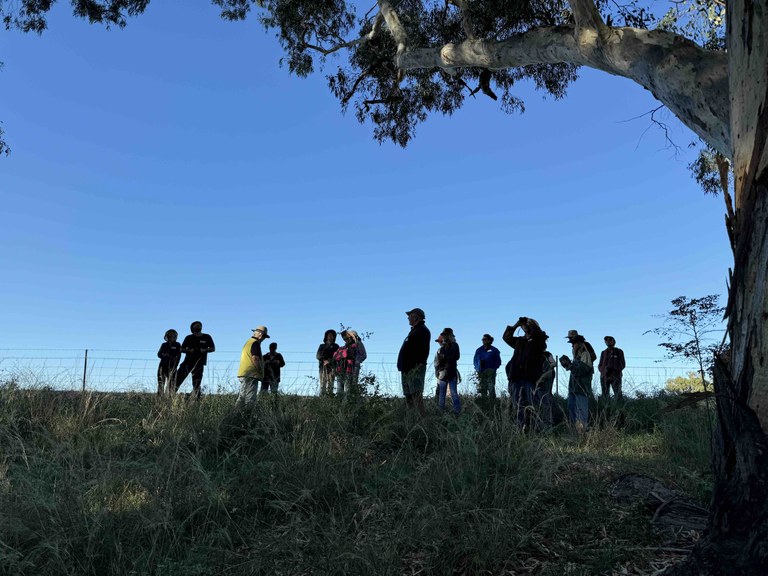 Native Tree ID - Dubbo Native Tree ID - Dubbo