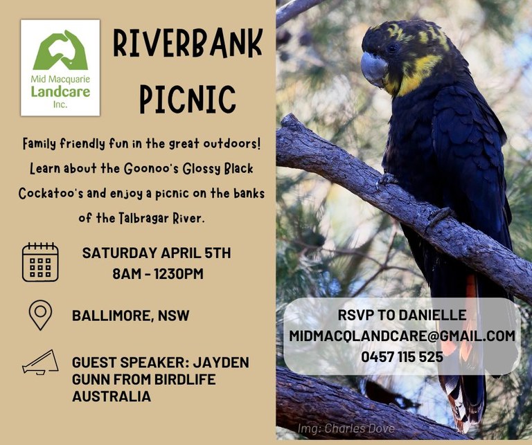 Riverbank Picnic