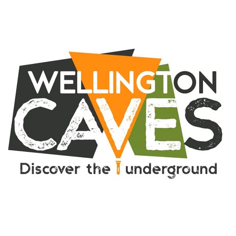 WEllingtoncaveslogo.jpg