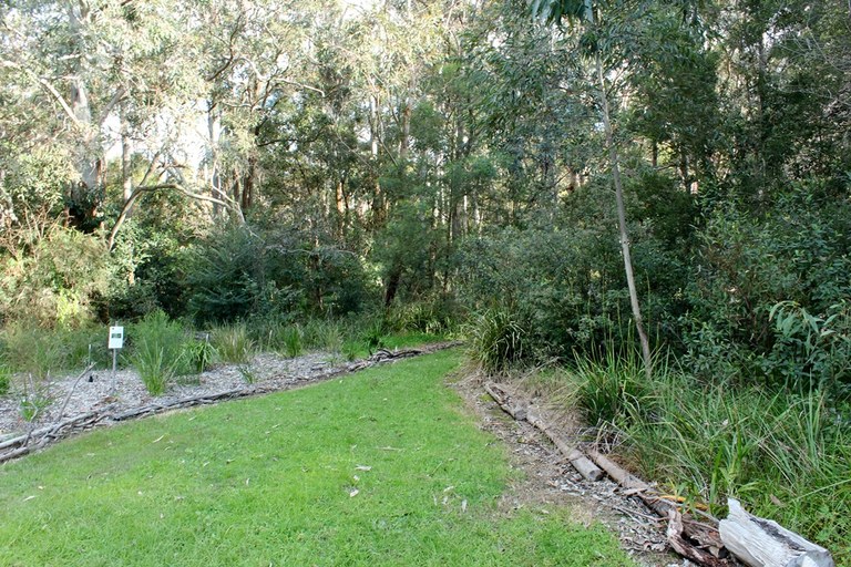 Mobbs Lane Bushcare 2.JPG