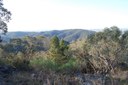 View from Mt Wellesley.jpg