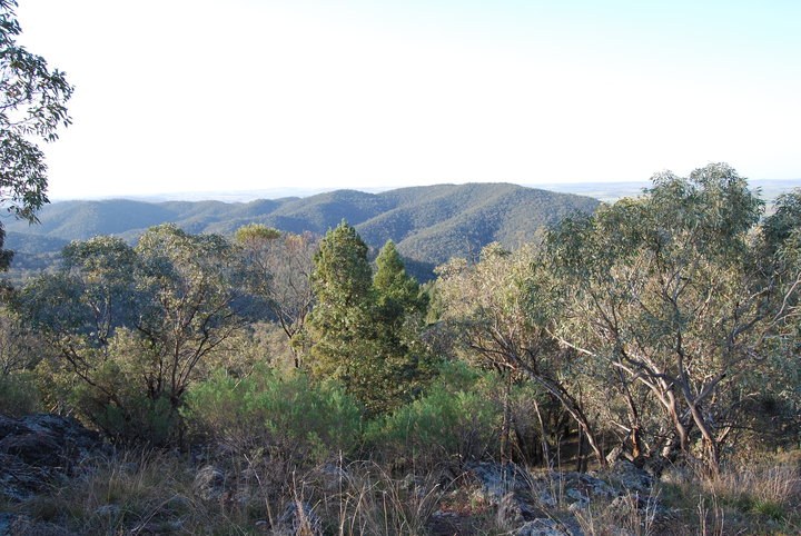 View from Mt Wellesley.jpg