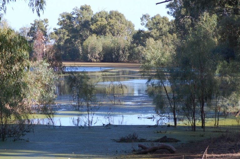 Thegoa Lagoon.JPG