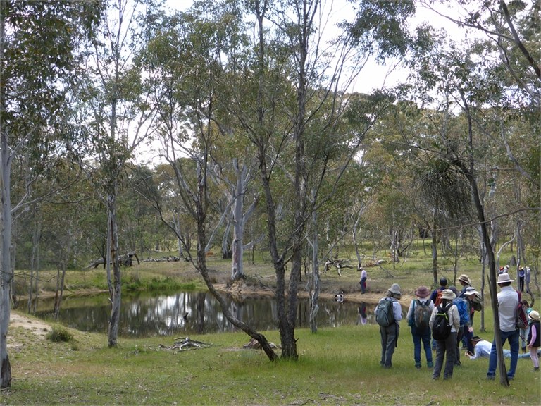 Lerida TSR walk November 2017