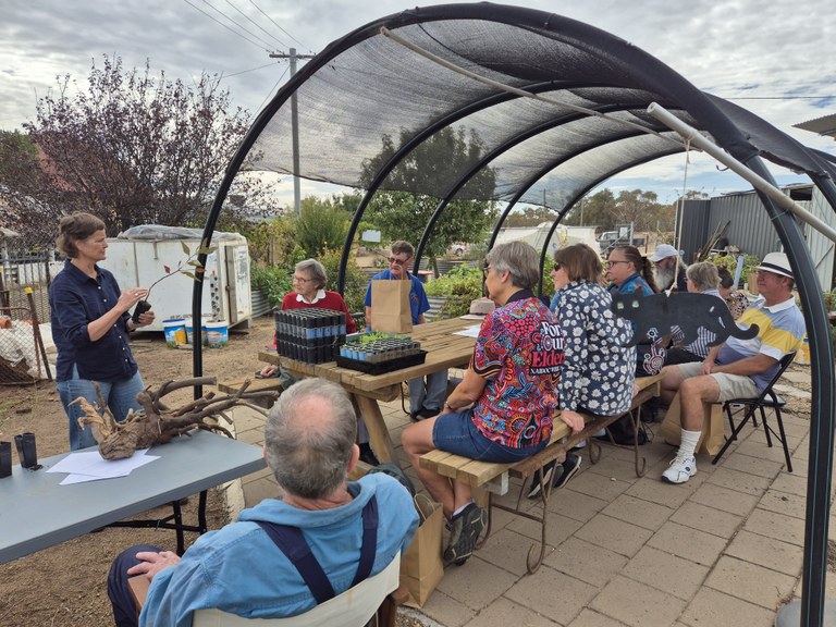 Blooming Connections