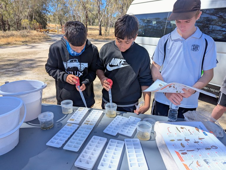 Getting Boys to the Bush