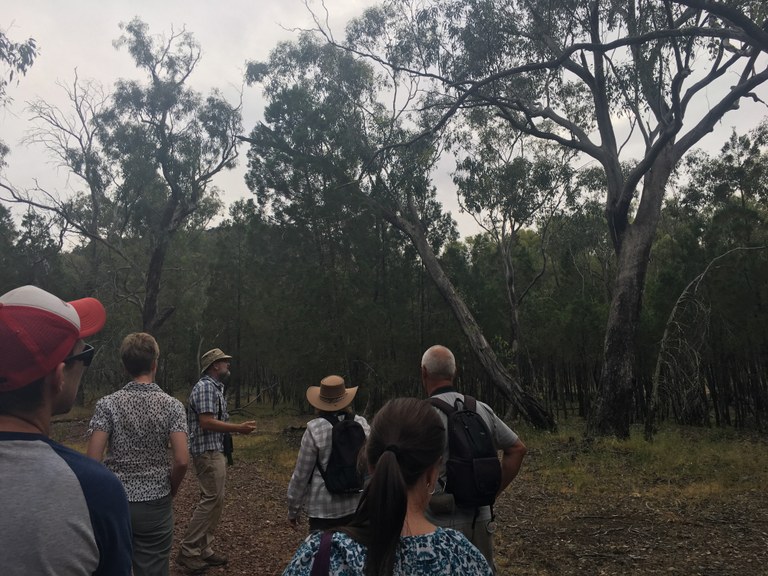 Landcare Coordinator Initiative reforms the Eastern Riverina Landcare Group