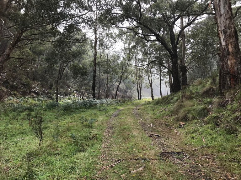 Australia’s shortest bush walk!