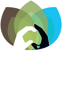 nlnlogo.png