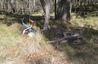 Neville State Forest Clean up and Community Education - Rubbish Dumping.