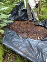 Turn weeds into compost