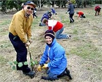 Building Bridges to Boorowa