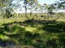 Northlakes-Landcare-San-Remo.JPG